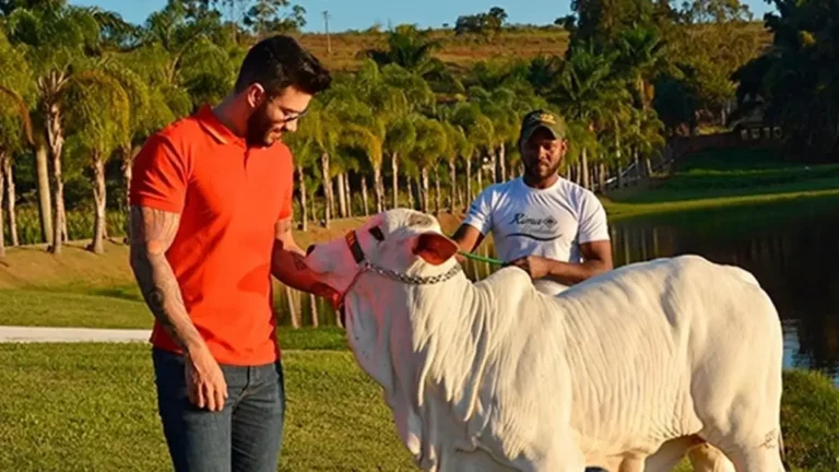 Descubra a fazenda rica de Gusttavo Lima, o “magnata do Agro”