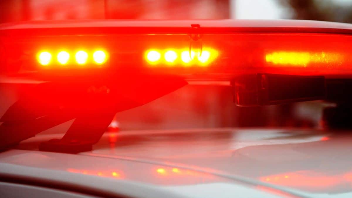 Polícia procura corpo de bebê no Oeste de SC após pai confessar