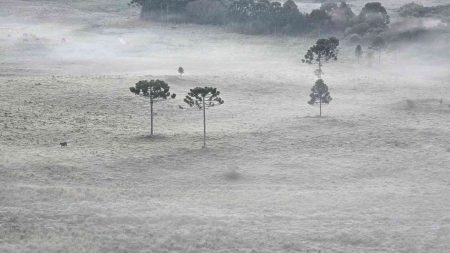 Semana inicia com temperaturas abaixo de zero no Sul do Brasil
