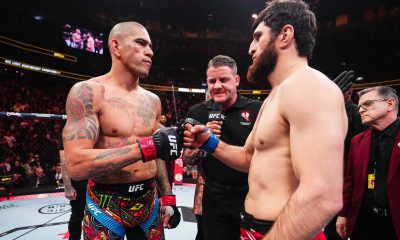 Jamais voltará: Magomed Ankalaev traz atualização sobre revanche