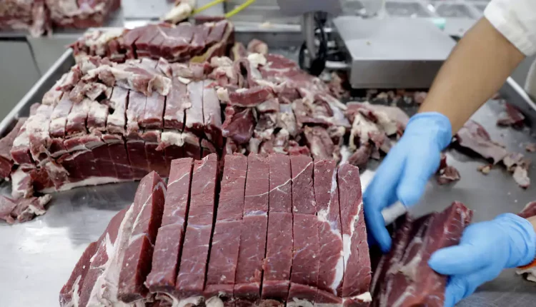 Carne Bovina