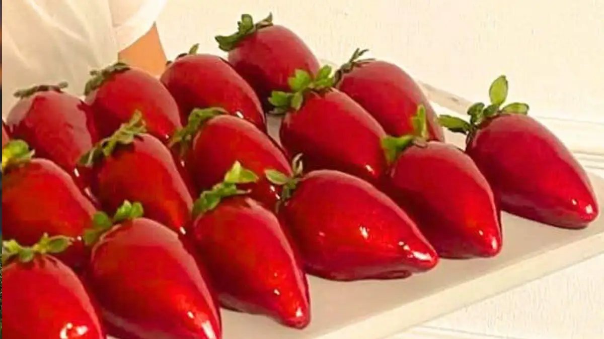 Morango do Amor