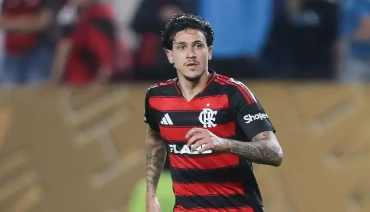 Pedro, Flamengo