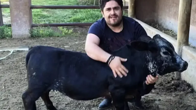 César Menotti guarda fazenda de mini animais e detalhe chama atenção de Gusttavo Lima