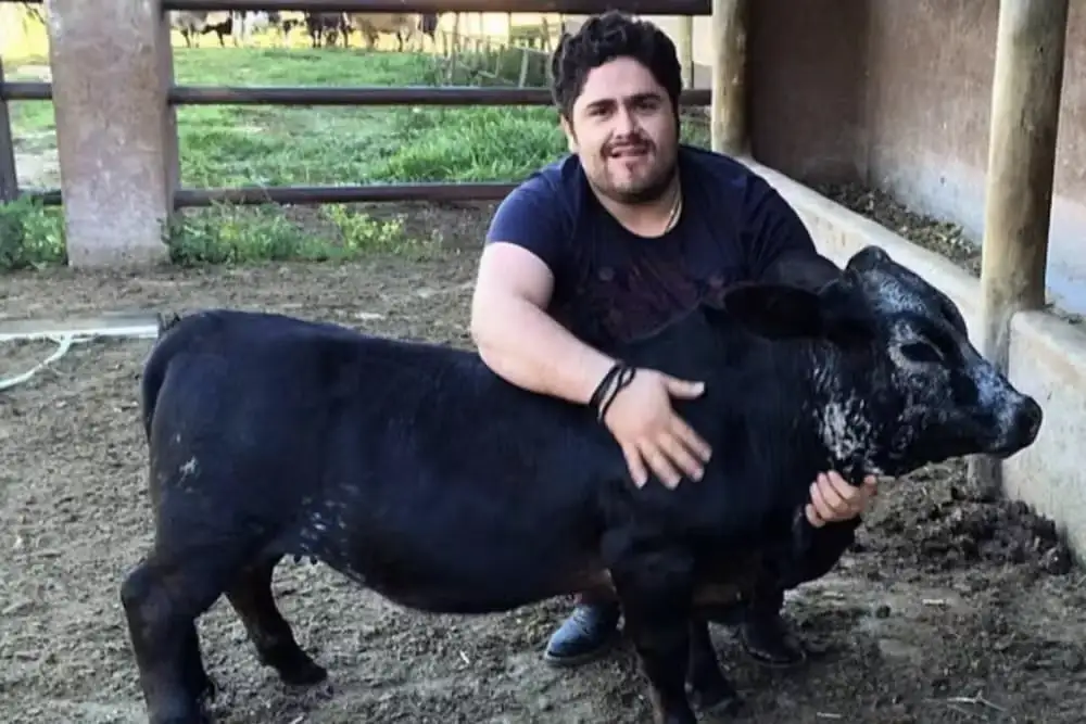 César Menotti guarda fazenda de mini animais e detalhe chama atenção de Gusttavo Lima