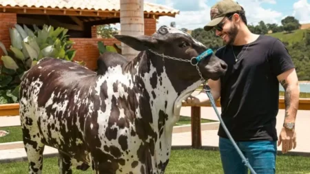 Murilo Huff participa de leilão que movimentou R$ 99 milhões